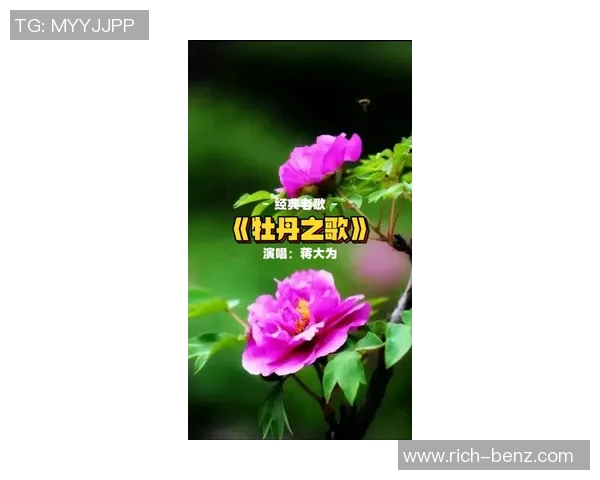 姚明倾情演绎牡丹之歌展现中华文化之美与情感深度
